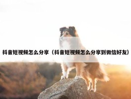 抖音短视频怎么分享（抖音短视频怎么分享到微信好友）