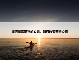 如何提高宠物的心态，如何改变宠物心情