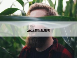 2018荷兰队阵容