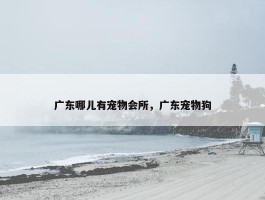 广东哪儿有宠物会所，广东宠物狗