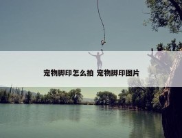 宠物脚印怎么拍 宠物脚印图片