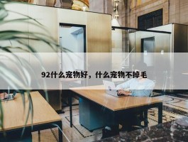 92什么宠物好，什么宠物不掉毛