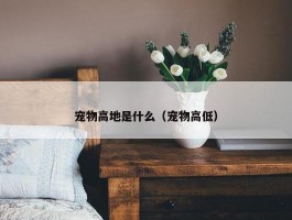 宠物高地是什么（宠物高低）