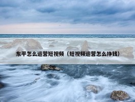 东平怎么运营短视频（短视频运营怎么挣钱）