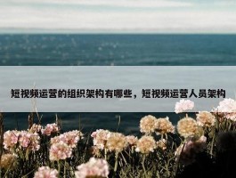 短视频运营的组织架构有哪些，短视频运营人员架构