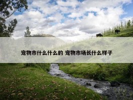 宠物市什么什么的 宠物市场长什么样子