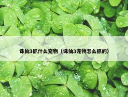 诛仙3抓什么宠物（诛仙3宠物怎么抓的）