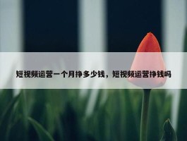 短视频运营一个月挣多少钱，短视频运营挣钱吗