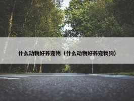 什么动物好养宠物（什么动物好养宠物狗）