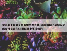 金毛身上有虱子跳蚤蜱虫怎么办-58同城网上买狗安全吗有没有谁在58同城网上买过狗的