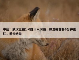 中超：武汉三镇1-0胜十人河南，徐浩峰替补9分钟染红，若卡绝杀