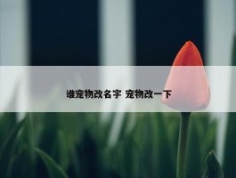 谁宠物改名字 宠物改一下