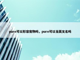 pure可以形容宠物吗，pure可以当英文名吗