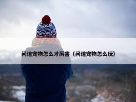 问道宠物怎么才厉害（问道宠物怎么玩）