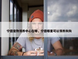 宁德宠物领养中心在哪，宁德哪里可以领养狗狗