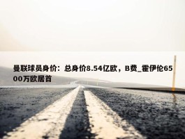 曼联球员身价：总身价8.54亿欧，B费_霍伊伦6500万欧居首