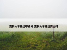 宠物火车托运哪些站 宠物火车托运安全吗