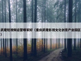 武隆短视频运营哪家好（重庆武隆影视文化创意产业园区）