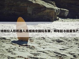 特斯拉人形机器人亮相南京国际车展，明年起小批量生产