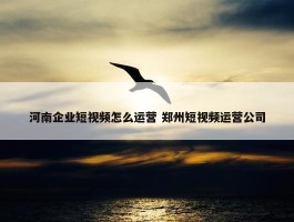 河南企业短视频怎么运营 郑州短视频运营公司