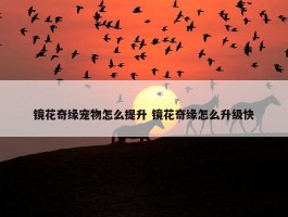 镜花奇缘宠物怎么提升 镜花奇缘怎么升级快