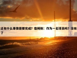 还有什么事情需要完成？詹姆斯：作为一名球员吗？没有了