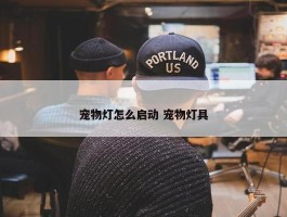 宠物灯怎么启动 宠物灯具