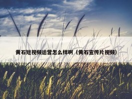 黄石短视频运营怎么样啊（黄石宣传片视频）