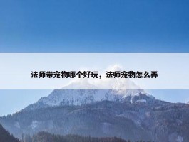 法师带宠物哪个好玩，法师宠物怎么弄