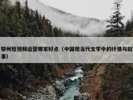 鄂州短视频运营哪家好点（中国现当代文学中的抒情与叙事）