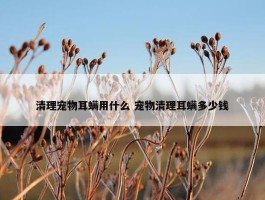 清理宠物耳螨用什么 宠物清理耳螨多少钱