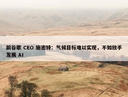 前谷歌 CEO 施密特：气候目标难以实现，不如放手发展 AI