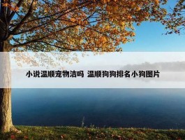 小说温顺宠物洁吗 温顺狗狗排名小狗图片