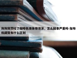 狗狗突然吐了咖啡色液体带泡沫，怎么回事严重吗-加布和藏獒有什么区别