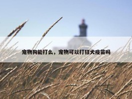 宠物狗能打么，宠物可以打狂犬疫苗吗