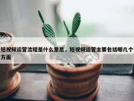 短视频运营流程是什么意思，短视频运营主要包括哪几个方面