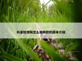 抖音短视频怎么拍同款的简单介绍