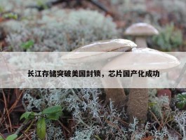 长江存储突破美国封锁，芯片国产化成功