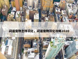 问道宠物怎样羽化，问道宠物羽化攻略2020