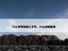 什么宠物蜥蜴上手快，什么蜥蜴最强