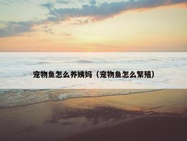 宠物鱼怎么养姨妈（宠物鱼怎么繁殖）