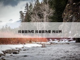 抖音因为哎 抖音因为爱 所以啊