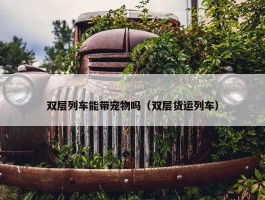 双层列车能带宠物吗（双层货运列车）