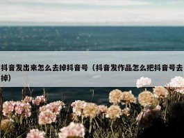 抖音发出来怎么去掉抖音号（抖音发作品怎么把抖音号去掉）