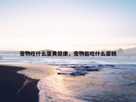 宠物吃什么蛋黄健康，宠物能吃什么蛋糕