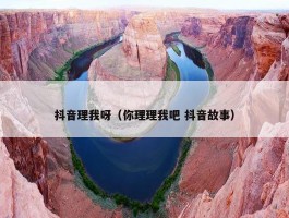 抖音理我呀（你理理我吧 抖音故事）