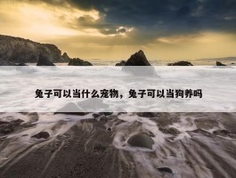 兔子可以当什么宠物，兔子可以当狗养吗