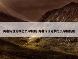 勇者传说宠物怎么学技能 勇者传说宠物怎么学技能的