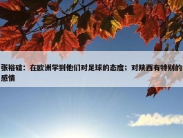 张裕碹：在欧洲学到他们对足球的态度；对陕西有特别的感情