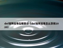 dnf宠物宝珠在哪显示（dnf宠物宝珠怎么获得2020）